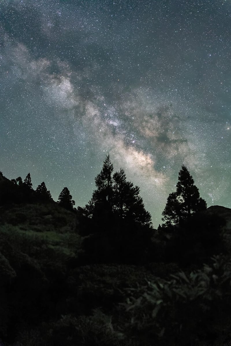 Milky Way Dress